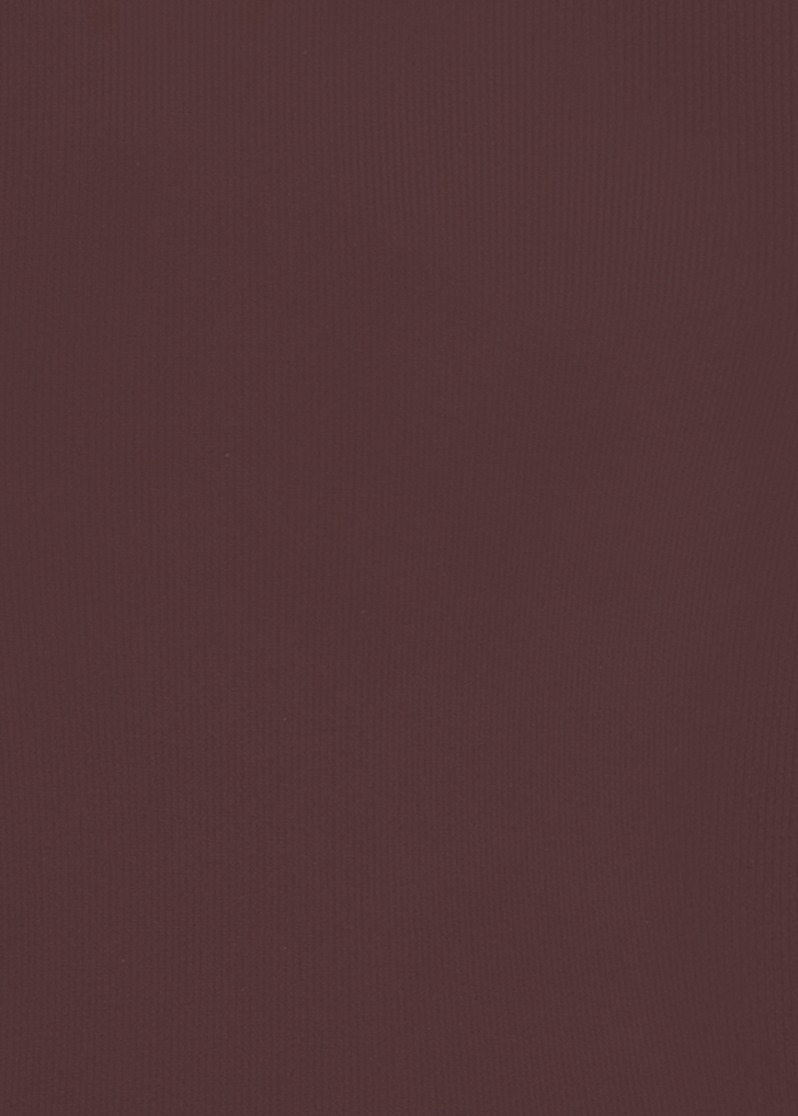 Brown Rib Swim Fabric